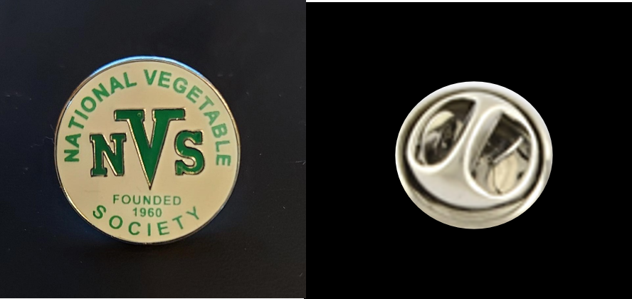 NVS Pin Badge